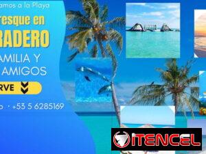 7fe24968fa0a6d77c3413fabdf7329cf7fad553fcc0e1276211069b6ff4a80a0-1