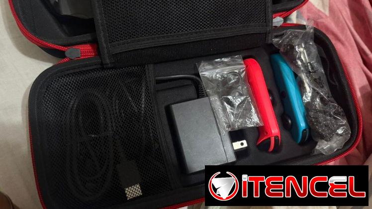Nintendo switch ole