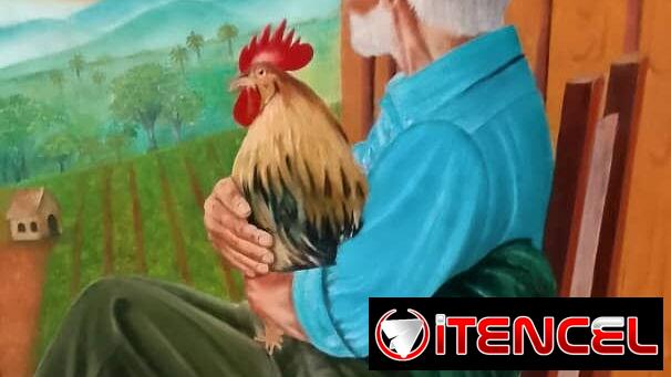 🔴 Gallos by Senen López 🐓