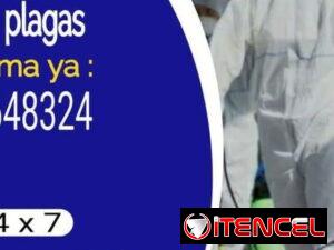 8b4e19f1c44bc393560aedcb544142e7851740a939da5bdeb056a394606e3dcd