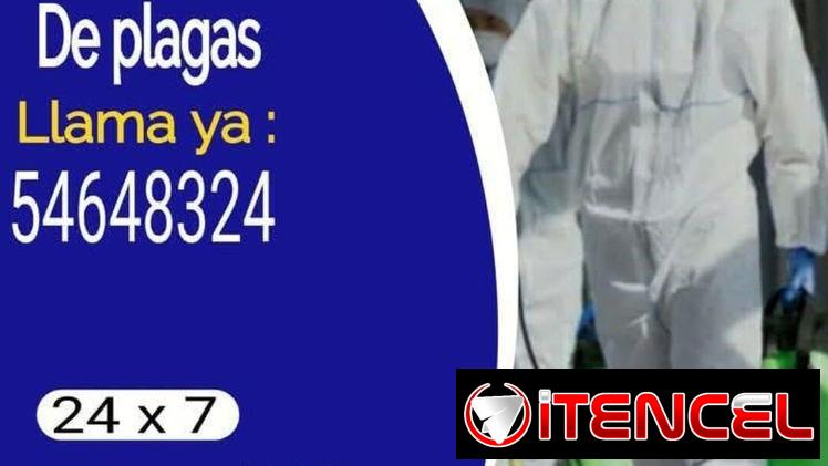 Fumigación – profesionalidad y garantía