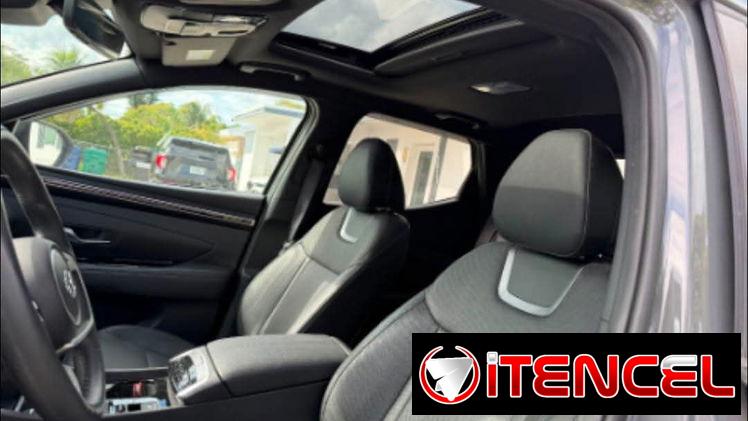 Hyundai santa cruz límite 2024