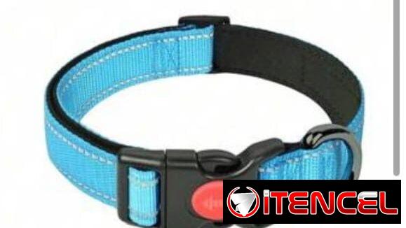 Collar azul con cierre de seguridad para Mascotas Grandes