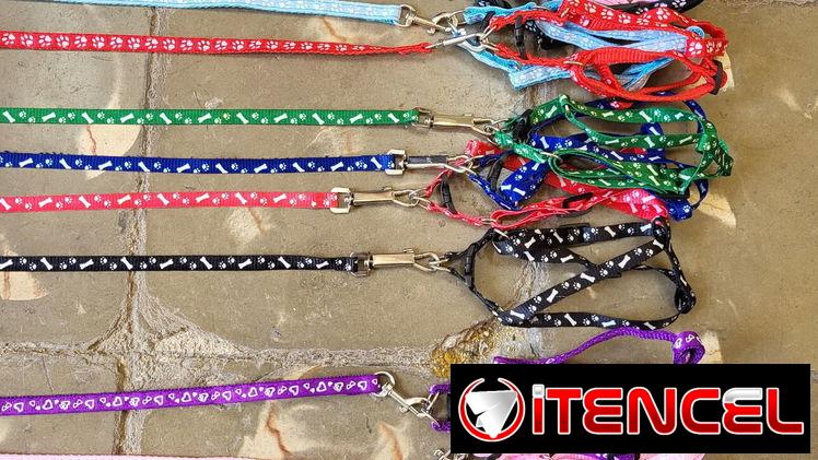 Correas para tus mascotas diferentes tallas y tipos