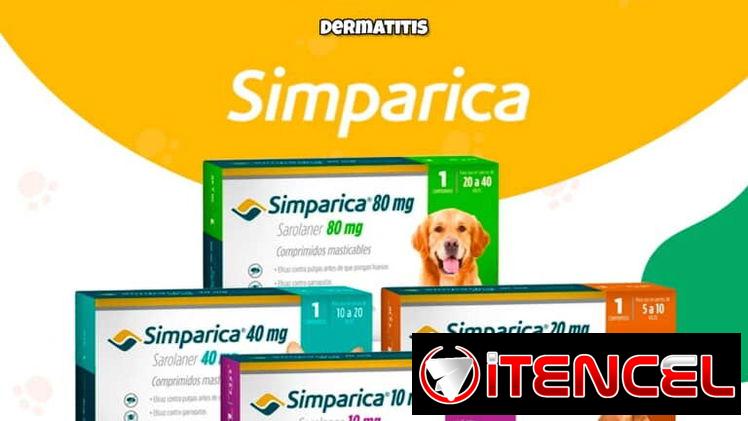 💊SIMPÁRICA (elimina pulgas y garrapatas)