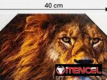 Cuadros de lienzo traen los enganches para colgarlo en pared en 3500 cup  Verticales:  40 cm de alto x 30 cm de ancho