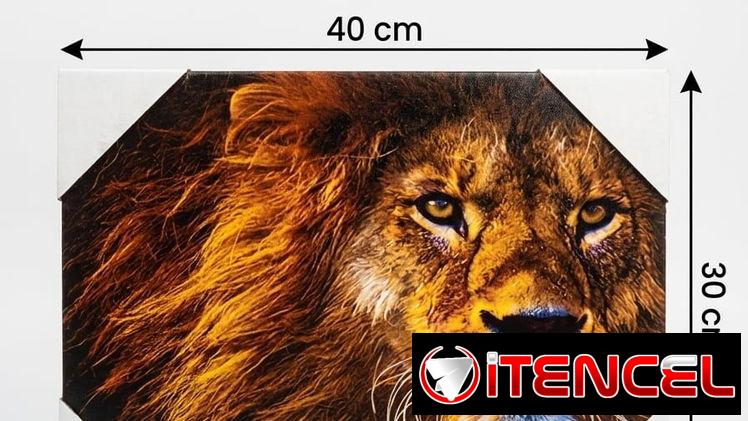 Cuadros de lienzo traen los enganches para colgarlo en pared en 3500 cup  Verticales:  40 cm de alto x 30 cm de ancho