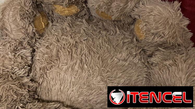 Camas para perros