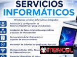 Servicios Informáticos Profesionales