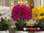 Plantas artificiales