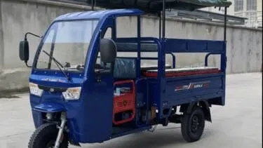 Triciclo para transportación de cargas y personas