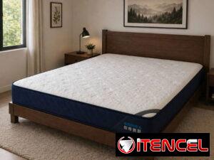 99f9636a4aa2dee50c9a822d443ae894fbfb1aeea98d5e86cdbaeab205e55216