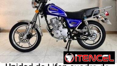 Unidad de Lifan cuadro de fábrica