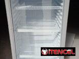 Exhibidor vertical Milexus 13 pies