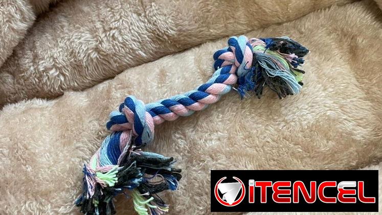 Juguetes para perros