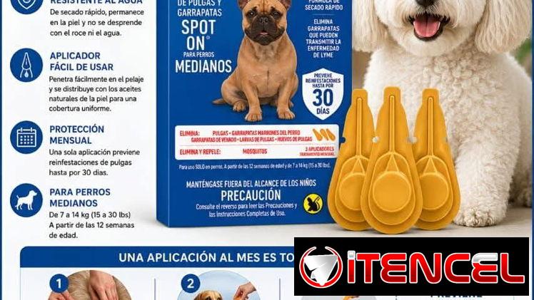 Pipeta original tipo Frontline para perros