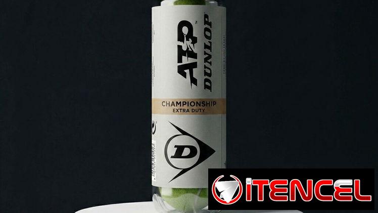 Tubo de 3 Pelotas Dunlop Extra Duty