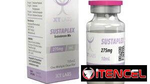 Testosterona – Testo – Propionato – Cipionato – Enantato – Undecanato – Sustaplex – Titan
