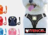 Arreo con pechera