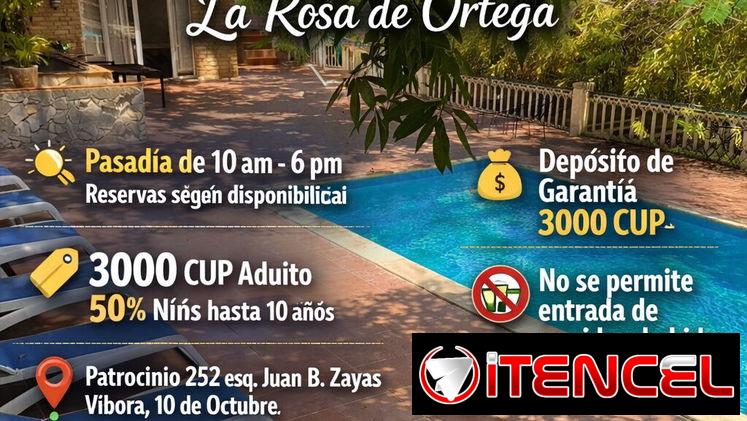 Alquiler de piscina una excelente opción