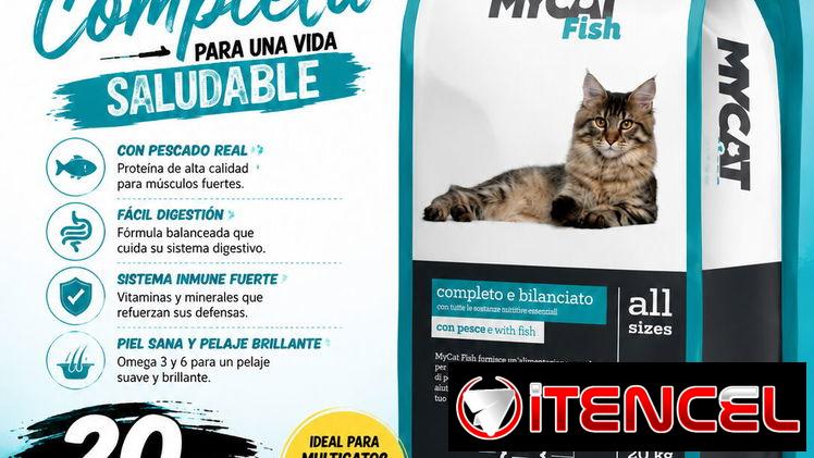 PIENSO IMPORTADO PARA GATOS. BOLSA 20 Kg