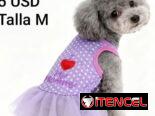 Ropa de perrita
