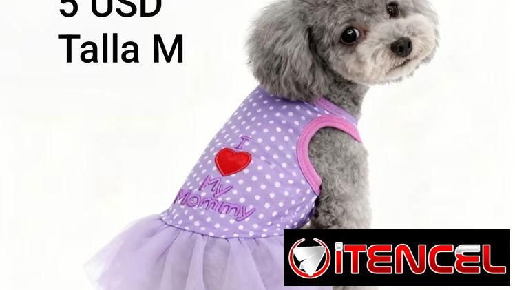 Ropa de perrita