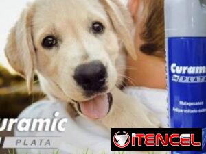 abbc3c88b1e0fe652f4618e0a3aa27c5e6631ae0625c8df22575e5969ee9ae33