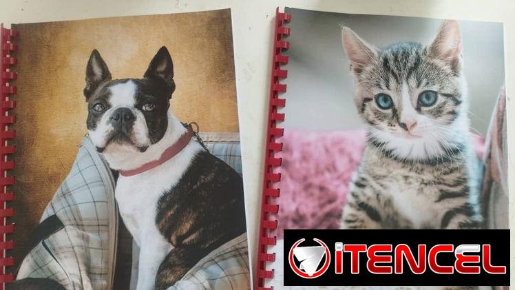 Libretas y agendas, rayadas o blancas, tarjetas de felicitación y más, calidez, calidad y originalidad para todos en cas