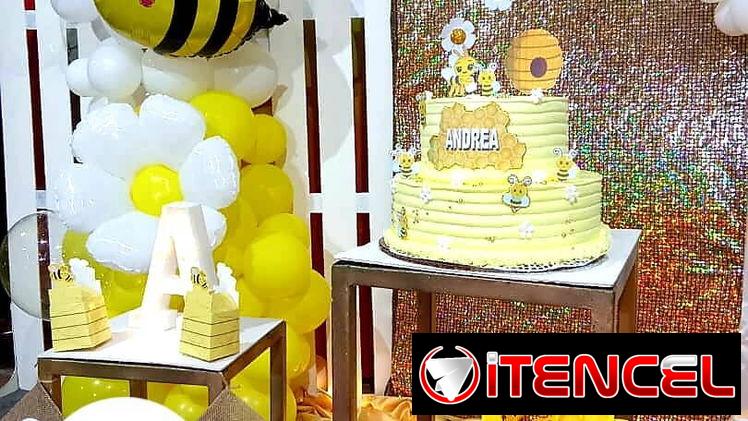 Fiestas de Cumpleaños‼️‼️‼️