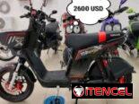 ‼️RU TRANSPORTE YA ESTÁ AQUÍ NO T LO PIERDAS ‼️