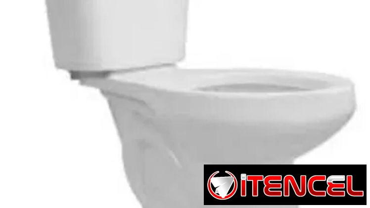TAZA DE BAÑO CON SUS HERRAJES