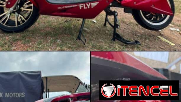 Moto electrica Fly