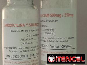 b1c9caadcc1861979c83015b2ccb3b6116f7d0a6b83ab7eee6a6e6dbc39c52f1