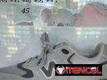Tenis triple A