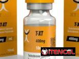 Testosterona – Testo – Propionato – Cipionato – Enantato – Undecanato – Sustaplex – Titan