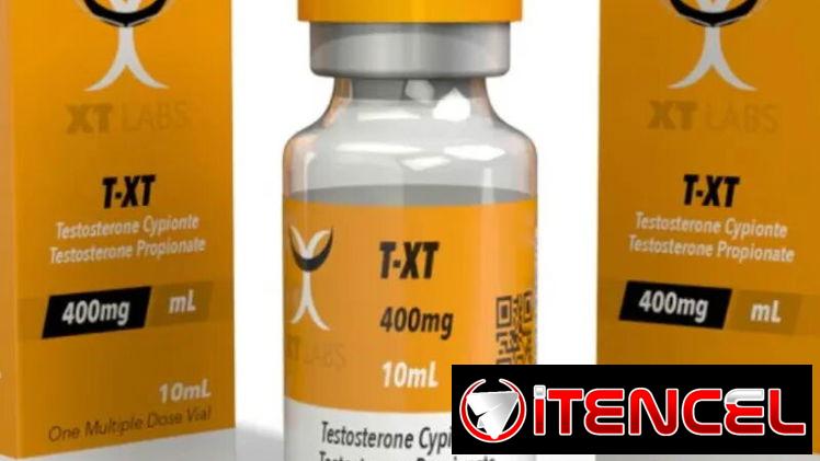 Testosterona – Testo – Propionato – Cipionato – Enantato – Undecanato – Sustaplex – Titan