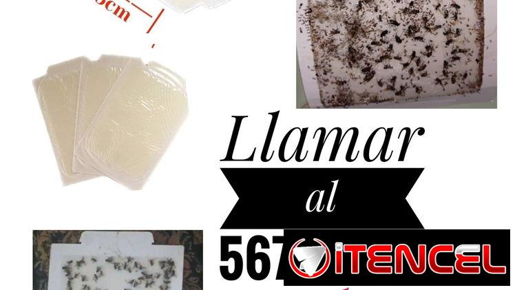 Atrapamoscas/ cintas atrapamoscas/ pegatinas atrapamoscas