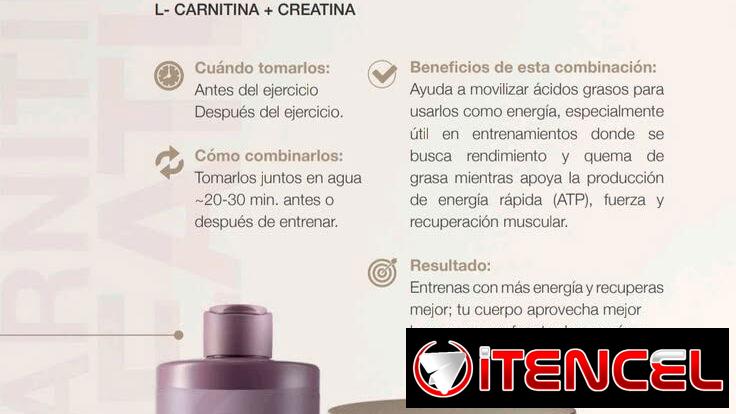 Si vas al gym, este dúo puede convertirse en tu mejor aliado(Mejora el rendimientoy la resistencia en los entrenos).