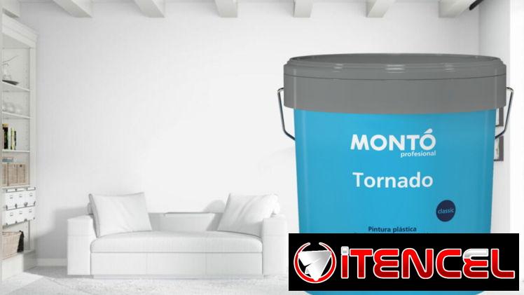 Pintura vinil blanca 15L monto