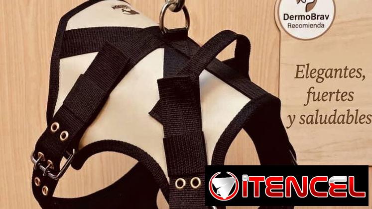 Pechera táctica