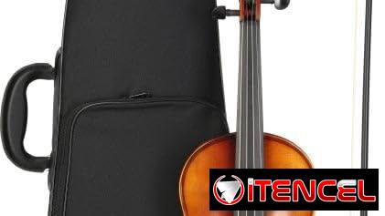 Violin 4/4 con su estuche y 2 Arcos