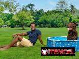 Piscina Bestway para mascotas