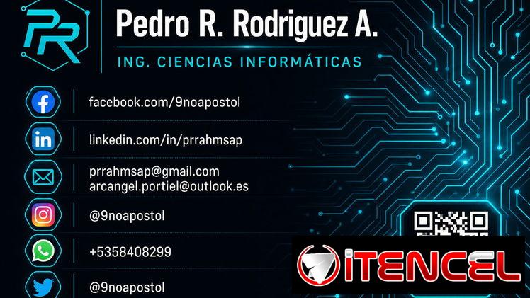Servicios Informáticos Profesionales