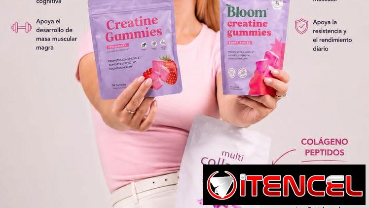 Creatine gummies y Bloom creatine gummies