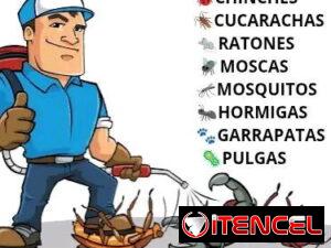 c396edcce2dd8aa82c605442a40d85e1f7150d217a66ea85e8701bdce1836008