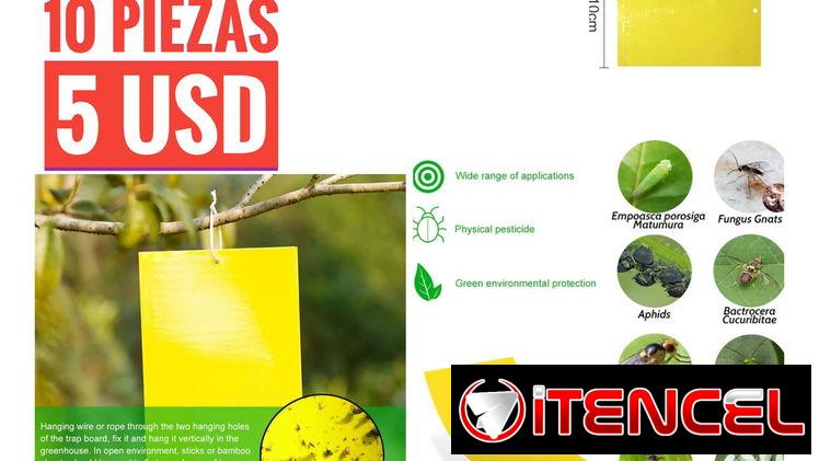 Atrapamoscas/ cintas atrapamoscas/ pegatinas atrapamoscas