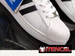 Tenis