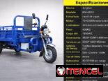 Triciclo grande moderno por ENCARGO