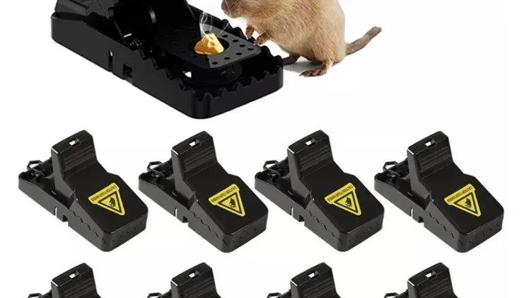 Ratoneras reutilizables y MUY EFECTIVAS
